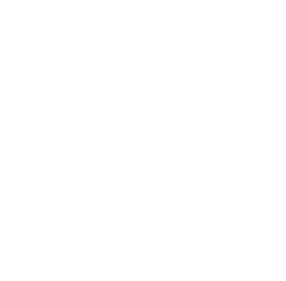 Company Icon