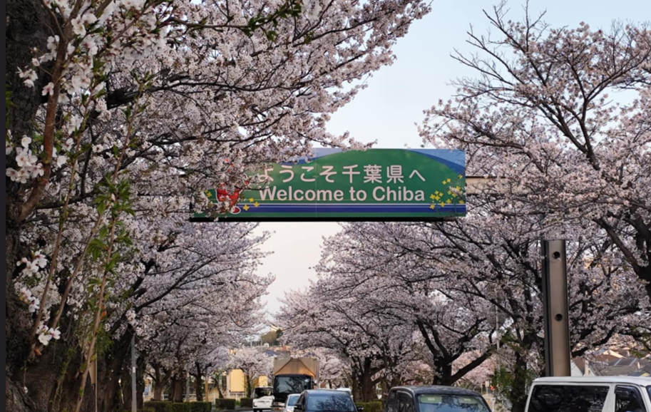 Picture for Moved to Matsudo-shi, Chiba